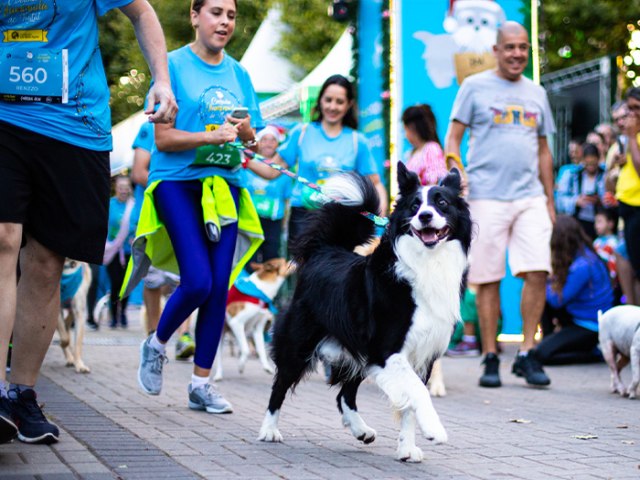 Corrida iluminada de Natal promete agitar Campos do Jordo