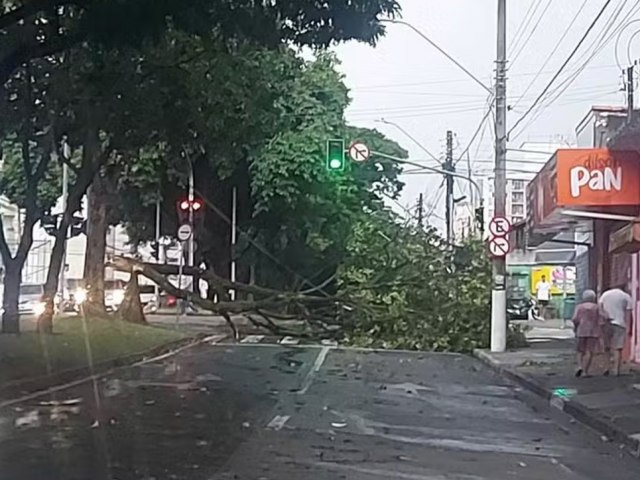 SJC: Temporal com ventos de at 92 km/h derruba rvores, provoca estragos e deixa 35 mil imveis sem luz