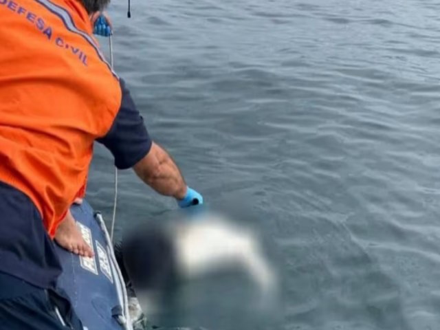 Corpo � encontrado pr�ximo � Ilha de B�zios, em Ilhabela