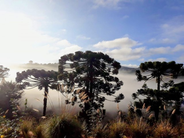 Frio segue intenso e Campos do Jord�o tem mais uma madrugada congelante