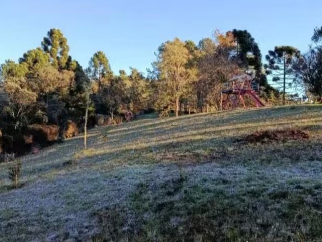 Campos do Jord�o registra a menor temperatura do estado com geada e 3,1�C
